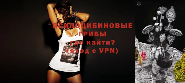 не бодяженный Лабытнанги