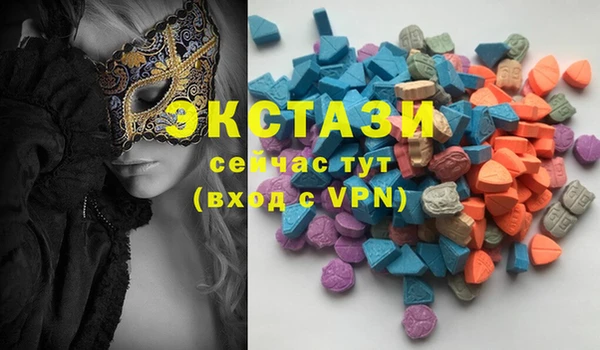 индика Великий Новгород