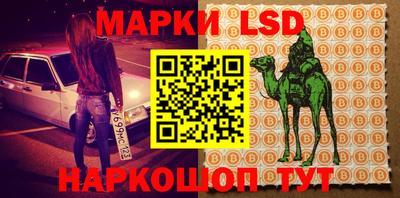 кокс Донской