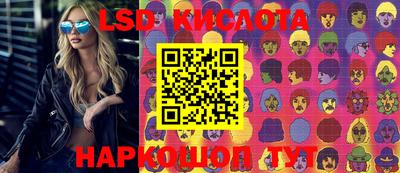 кокс Донской
