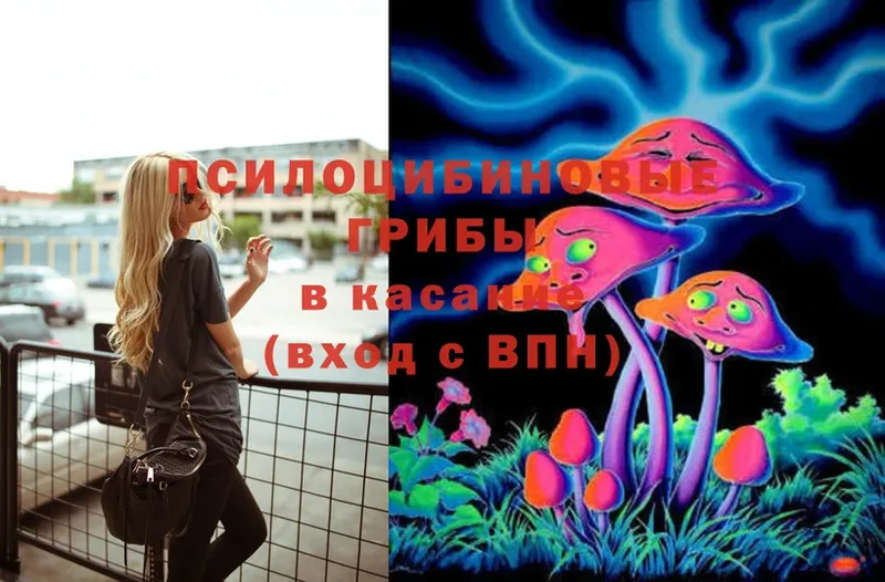 mega зеркало  Калач-на-Дону  Галлюциногенные грибы Psilocybine cubensis 