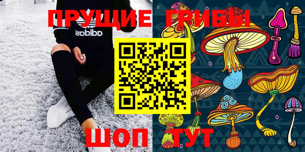 где продают наркотики  Калач-на-Дону  Псилоцибиновые грибы MAGIC MUSHROOMS  Псилоцибиновые грибы прущие грибы 