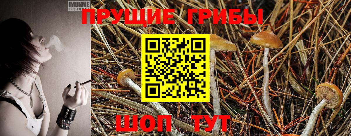Калач-на-Дону  Галлюциногенные грибы Cubensis  Вход с VPN 