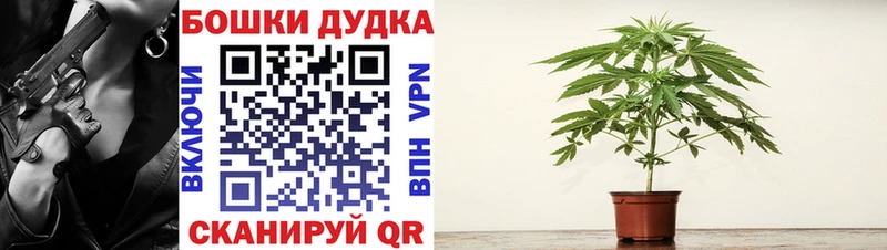 МАРИХУАНА семена Калач-на-Дону